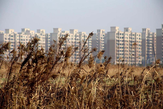 24144628928fd443f77386.jpg tudi2.jpg