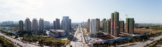 绿地1.jpg