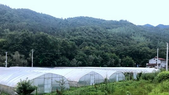 农村1.jpg
