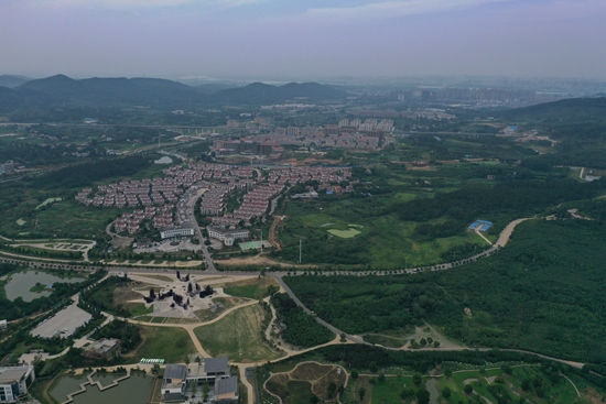 襄城区13.jpg