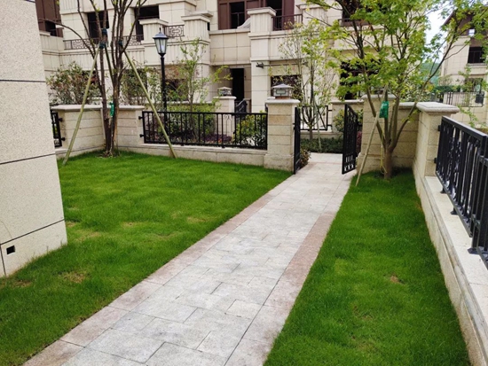 140921298107b198d34233.jpg 微信图片_20190814090254.jpg