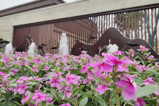 14092208a5db4724960344.jpg 微信图片_20190814090304.jpg