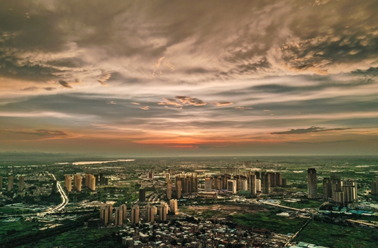 绿地片区.jpg