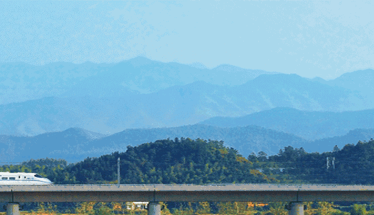 微信图片_20190831171919.gif