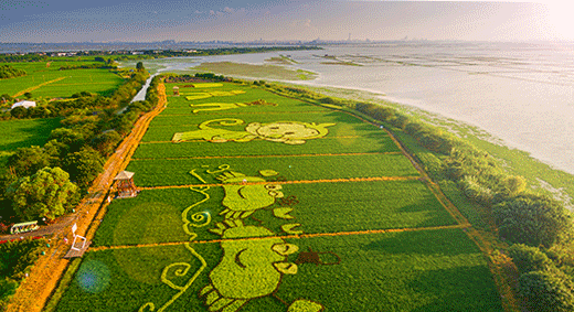 WeChat 圖片_20191011142206.gif