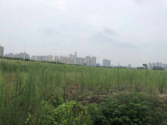 地块_副本.png