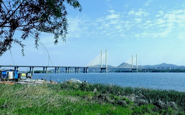 卧龙大桥1.jpg