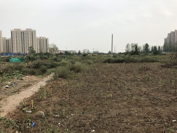 现场图10.jpg