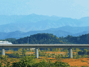 微信图片_20200810153311.gif