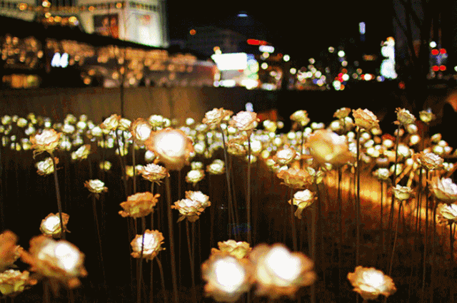 微信图片_20200820084318.gif