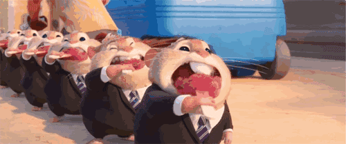 微信图片_20200821153428.gif