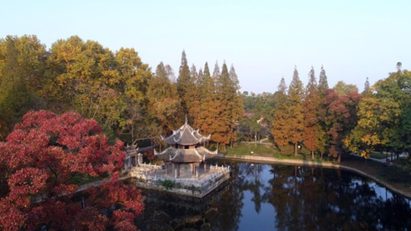 微信图片_20201012163901.jpg
