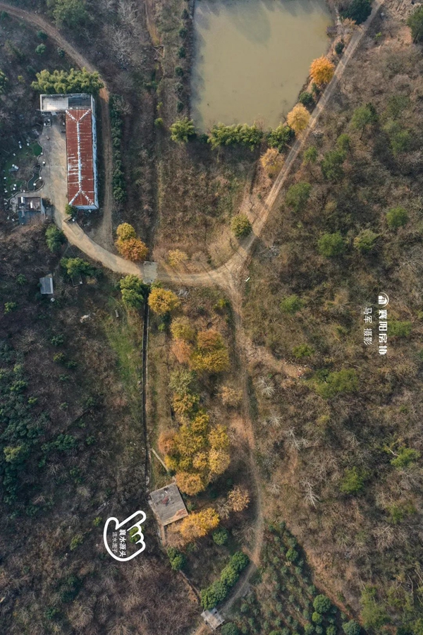 处理图19.jpg