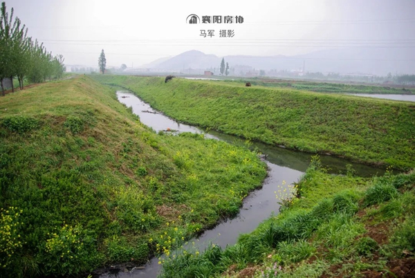处理图23.jpg