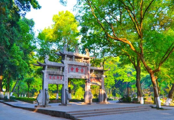 处理图29.jpg
