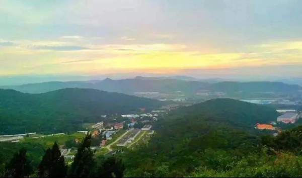 处理图38.jpg