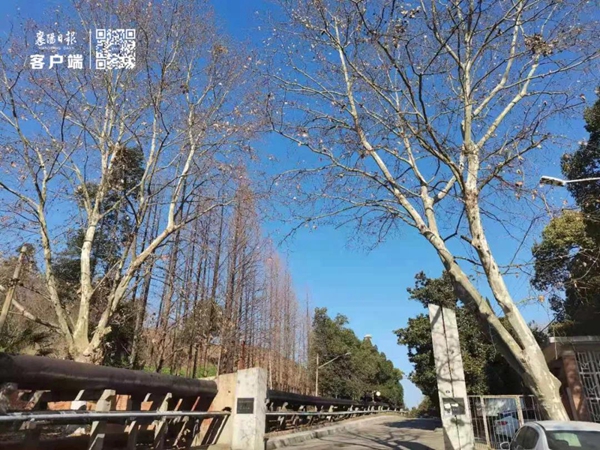 修改图14.jpg