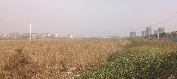 搜狗截图21年03月08日1355_7.jpg