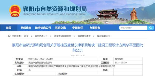 碧桂园盛世东津项目地块二.jpg